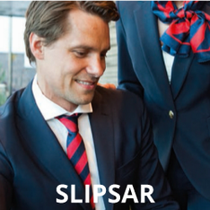 Slipsar